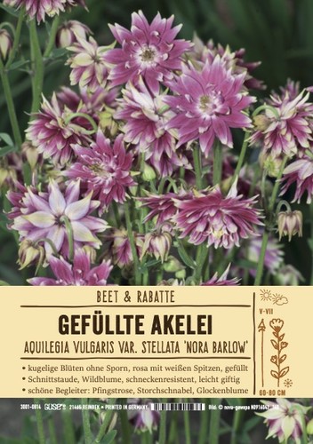 Aquilegia vulgaris nora - vulgaris, "nora